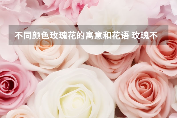 不同颜色玫瑰花的寓意和花语 玫瑰不同颜色的花语（各色玫瑰寓意大全）